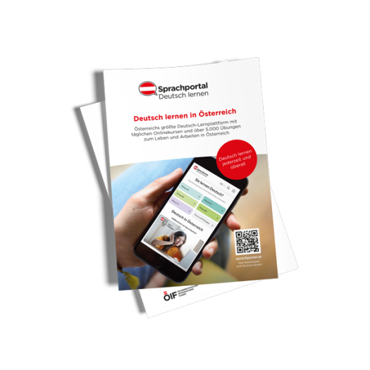 Flyer Sprachportal